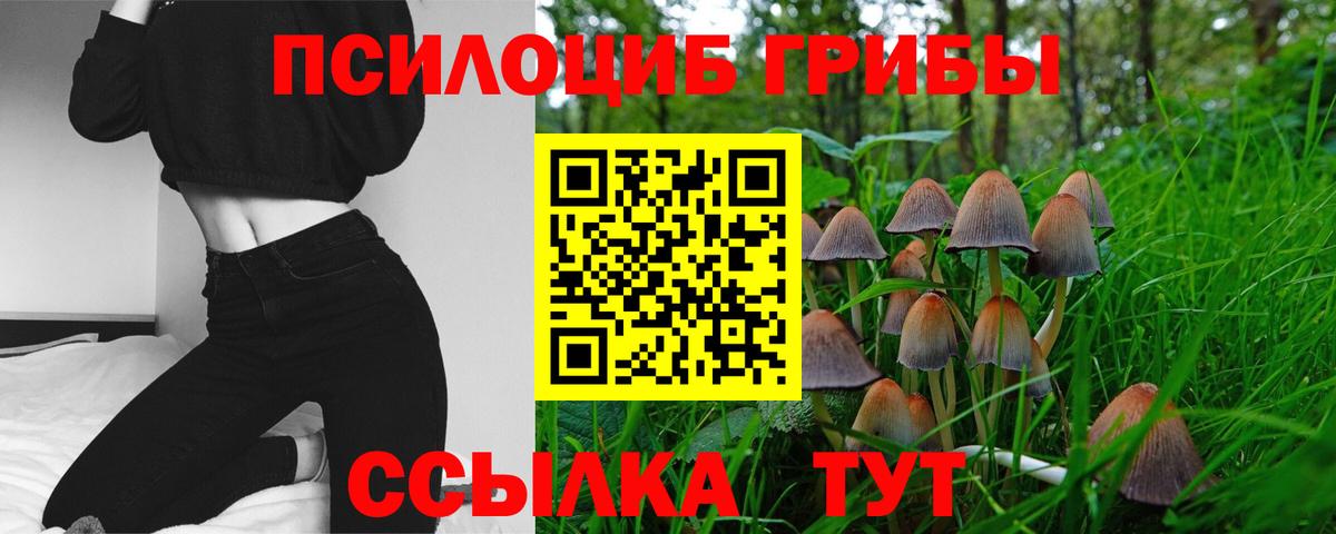 Галлюциногенные грибы Magic Shrooms Сегежа