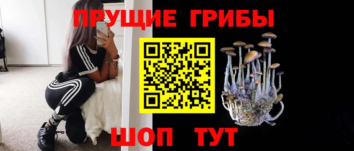 Сегежа  Галлюциногенные грибы Psilocybine cubensis  Вход с VPN  Псилоцибиновые грибы прущие грибы 