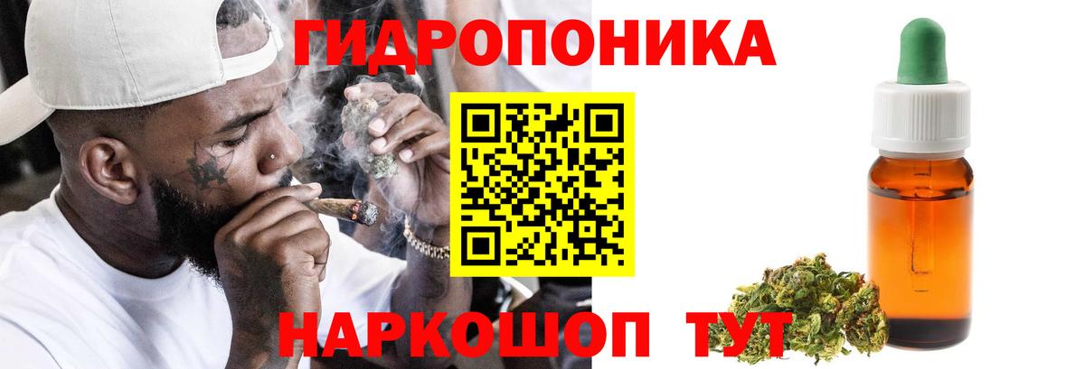 Канабис гибрид Сегежа
